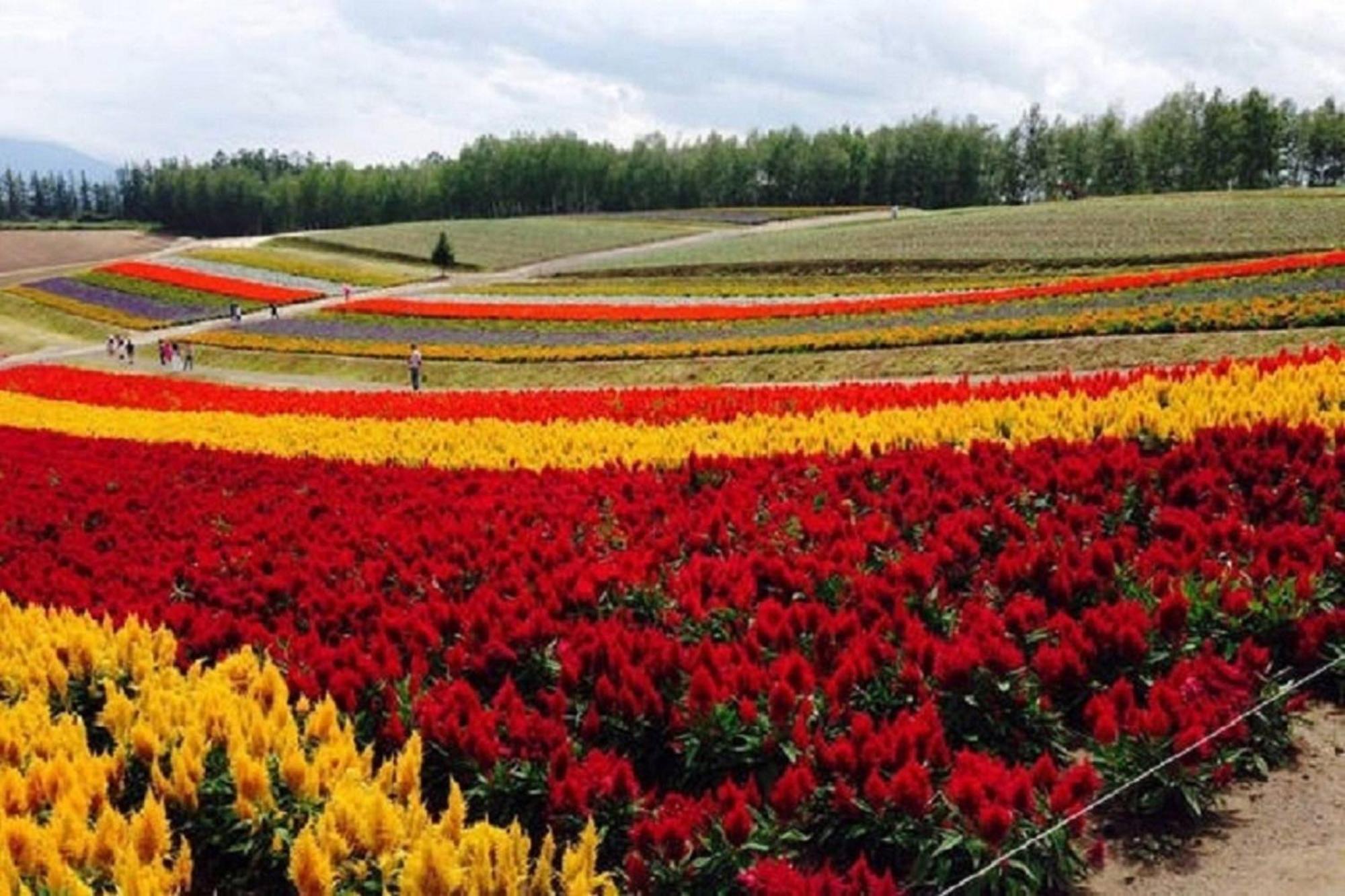 Ark City Asahikawa - Vacation Stay 8528 Dış mekan fotoğraf